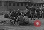 Immagine di Lavoro della polizia militare dell'esercito degli Stati Uniti Corea, 1952, secondo 39 filmato di repertorio 65675070821