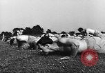 Standbild US Army Military Police Georgia United States USA, 1962, aus Sekunde 1 historischem Filmmaterial Videoclip 65675070835