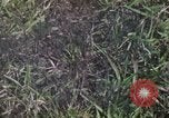 Image of Cambodian refugees Vietnam, 1970, second 39 stock footage video 65675070845