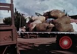 Image of Cambodian refugees Vietnam, 1970, second 40 stock footage video 65675070848