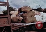 Image of Cambodian refugees Vietnam, 1970, second 43 stock footage video 65675070848