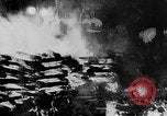 Image of children European theater, 1942, second 60 stock footage video 65675070857
