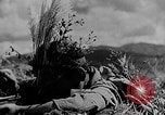 Image of Children in military training Japan, 1942, second 23 stock footage video 65675070858