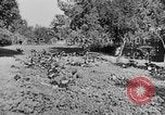 Image of Children in military training Japan, 1942, second 37 stock footage video 65675070858