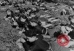 Image of Children in military training Japan, 1942, second 38 stock footage video 65675070858