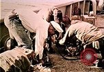 Image of Carl Brashear Norfolk Virginia USA, 1966, second 56 stock footage video 65675070863