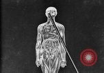 Image of human glands United States USA, 1922, second 30 stock footage video 65675070865