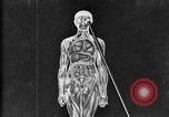 Image of human glands United States USA, 1922, second 42 stock footage video 65675070865