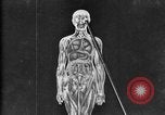 Image of human glands United States USA, 1922, second 43 stock footage video 65675070865