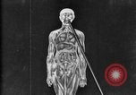 Image of human glands United States USA, 1922, second 45 stock footage video 65675070865