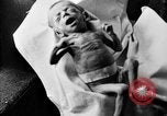 Image of 1920s reproductive health education United States USA, 1922, second 24 stock footage video 65675070867