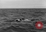 Immagine di Landing Craft pozzi meccanizzati su D-Day Canale in inglese, 1944, secondo 20 filmato di repertorio 65675070901