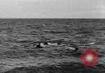 Immagine di Landing Craft pozzi meccanizzati su D-Day Canale in inglese, 1944, secondo 21 filmato di repertorio 65675070901