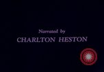 Immagine di Nazione lutto Martin Luther King morte United States USA, 1968, secondo 10 filmato di repertorio 65675070910