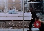 Image of looting of Wolfe Bros. furniture store during riots Washington DC USA, 1968, second 15 stock footage video 65675070916