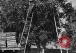 Immagine di Congelati succhi di arancia Tampa Florida USA, 1931, secondo 23 filmato di repertorio 65675070929