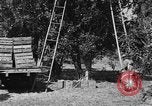 Immagine di Congelati succhi di arancia Tampa Florida USA, 1931, secondo 26 filmato di repertorio 65675070929
