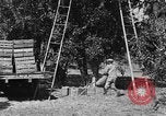 Immagine di Congelati succhi di arancia Tampa Florida USA, 1931, secondo 27 filmato di repertorio 65675070929