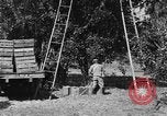 Immagine di Congelati succhi di arancia Tampa Florida USA, 1931, secondo 28 filmato di repertorio 65675070929