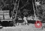 Immagine di Congelati succhi di arancia Tampa Florida USA, 1931, secondo 29 filmato di repertorio 65675070929