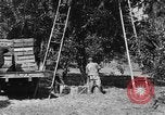 Immagine di Congelati succhi di arancia Tampa Florida USA, 1931, secondo 30 filmato di repertorio 65675070929