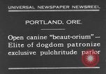 Standbild Schönheitsbehandlungen für Hunde Portland Oregon USA, 1931, aus Sekunde 1 historischem Filmmaterial Videoclip 65675070930