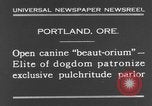 Standbild Schönheitsbehandlungen für Hunde Portland Oregon USA, 1931, aus Sekunde 3 historischem Filmmaterial Videoclip 65675070930