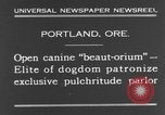 Standbild Schönheitsbehandlungen für Hunde Portland Oregon USA, 1931, aus Sekunde 4 historischem Filmmaterial Videoclip 65675070930