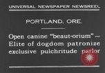 Standbild Schönheitsbehandlungen für Hunde Portland Oregon USA, 1931, aus Sekunde 5 historischem Filmmaterial Videoclip 65675070930