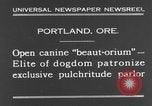 Standbild Schönheitsbehandlungen für Hunde Portland Oregon USA, 1931, aus Sekunde 7 historischem Filmmaterial Videoclip 65675070930