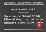 Standbild Schönheitsbehandlungen für Hunde Portland Oregon USA, 1931, aus Sekunde 10 historischem Filmmaterial Videoclip 65675070930