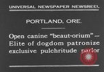 Standbild Schönheitsbehandlungen für Hunde Portland Oregon USA, 1931, aus Sekunde 11 historischem Filmmaterial Videoclip 65675070930