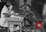 Standbild Schönheitsbehandlungen für Hunde Portland Oregon USA, 1931, aus Sekunde 20 historischem Filmmaterial Videoclip 65675070930
