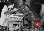 Standbild Schönheitsbehandlungen für Hunde Portland Oregon USA, 1931, aus Sekunde 22 historischem Filmmaterial Videoclip 65675070930