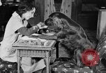 Standbild Schönheitsbehandlungen für Hunde Portland Oregon USA, 1931, aus Sekunde 23 historischem Filmmaterial Videoclip 65675070930