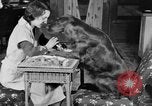 Standbild Schönheitsbehandlungen für Hunde Portland Oregon USA, 1931, aus Sekunde 24 historischem Filmmaterial Videoclip 65675070930