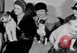 Standbild Schönheitsbehandlungen für Hunde Portland Oregon USA, 1931, aus Sekunde 31 historischem Filmmaterial Videoclip 65675070930