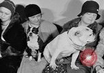 Standbild Schönheitsbehandlungen für Hunde Portland Oregon USA, 1931, aus Sekunde 34 historischem Filmmaterial Videoclip 65675070930