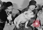 Standbild Schönheitsbehandlungen für Hunde Portland Oregon USA, 1931, aus Sekunde 35 historischem Filmmaterial Videoclip 65675070930