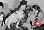 Standbild Schönheitsbehandlungen für Hunde Portland Oregon USA, 1931, aus Sekunde 37 historischem Filmmaterial Videoclip 65675070930