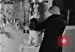 Standbild Schönheitsbehandlungen für Hunde Portland Oregon USA, 1931, aus Sekunde 39 historischem Filmmaterial Videoclip 65675070930