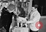 Standbild Schönheitsbehandlungen für Hunde Portland Oregon USA, 1931, aus Sekunde 41 historischem Filmmaterial Videoclip 65675070930