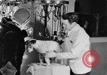 Standbild Schönheitsbehandlungen für Hunde Portland Oregon USA, 1931, aus Sekunde 43 historischem Filmmaterial Videoclip 65675070930