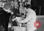 Standbild Schönheitsbehandlungen für Hunde Portland Oregon USA, 1931, aus Sekunde 44 historischem Filmmaterial Videoclip 65675070930