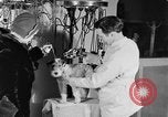 Standbild Schönheitsbehandlungen für Hunde Portland Oregon USA, 1931, aus Sekunde 45 historischem Filmmaterial Videoclip 65675070930