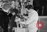 Standbild Schönheitsbehandlungen für Hunde Portland Oregon USA, 1931, aus Sekunde 46 historischem Filmmaterial Videoclip 65675070930