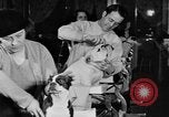 Standbild Schönheitsbehandlungen für Hunde Portland Oregon USA, 1931, aus Sekunde 57 historischem Filmmaterial Videoclip 65675070930