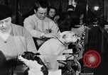 Standbild Schönheitsbehandlungen für Hunde Portland Oregon USA, 1931, aus Sekunde 61 historischem Filmmaterial Videoclip 65675070930