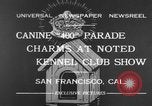Standbild Golden Gate Kennel Club dog show San Francisco California USA, 1932, aus Sekunde 1 historischem Filmmaterial Videoclip 65675070937