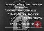 Standbild Golden Gate Kennel Club dog show San Francisco California USA, 1932, aus Sekunde 5 historischem Filmmaterial Videoclip 65675070937